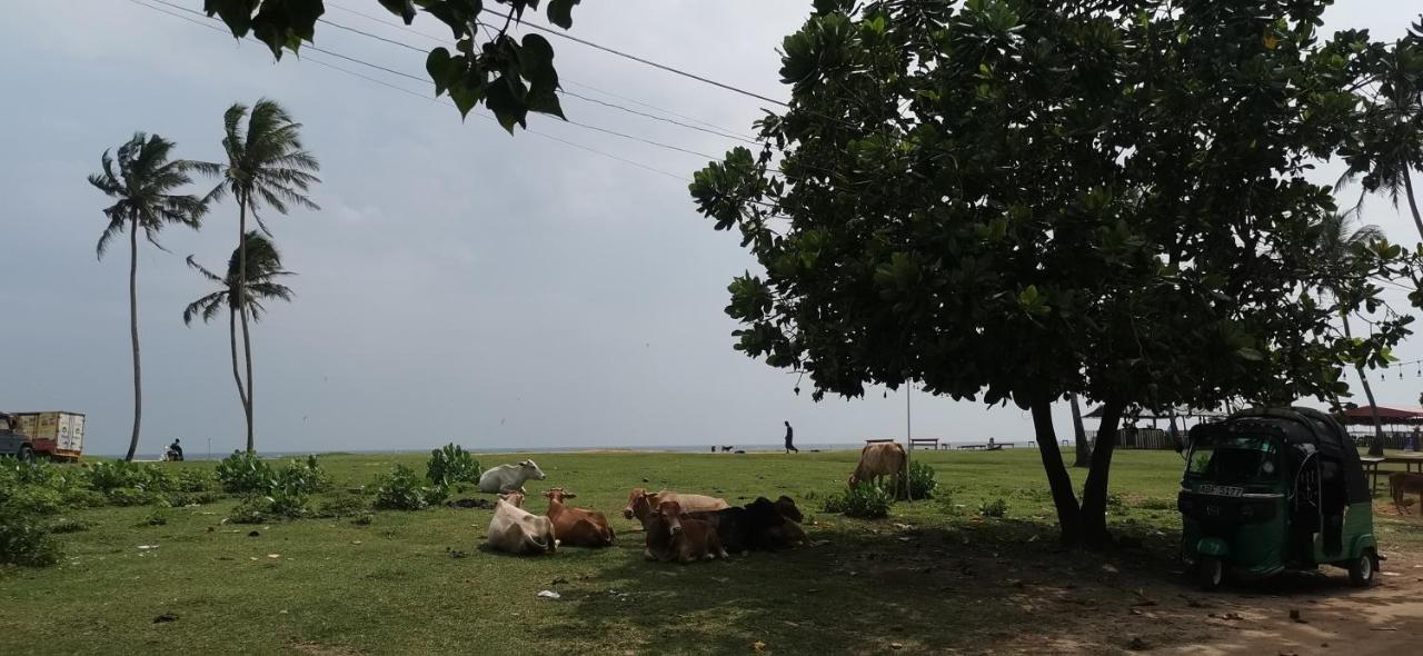 Gunne Fisherman House Weligama Esterno foto